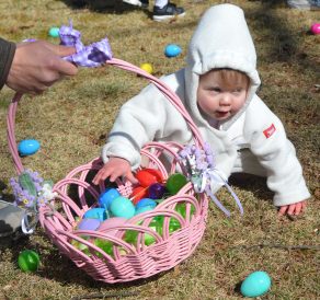 article image - 1. egg hunter_0017